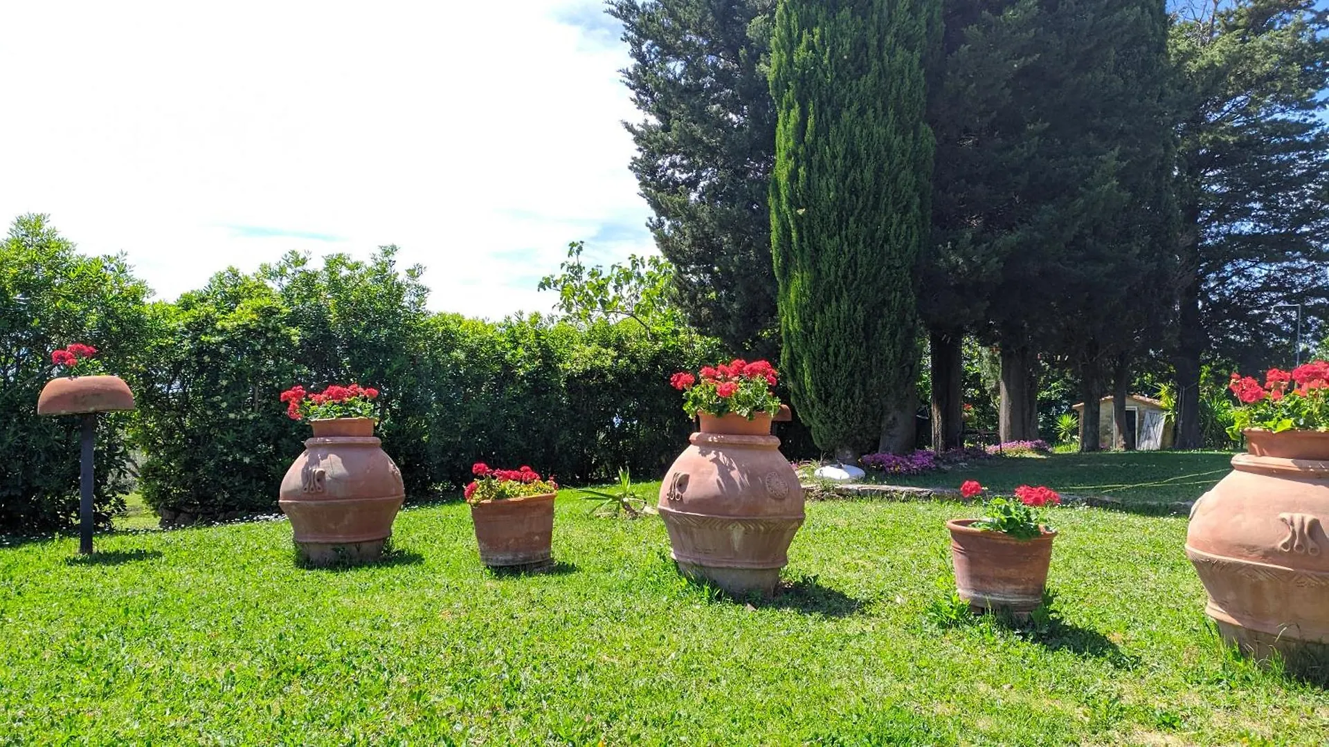 Agriturismo Antico Podere Il Polveraio Montescudaio Farm stay