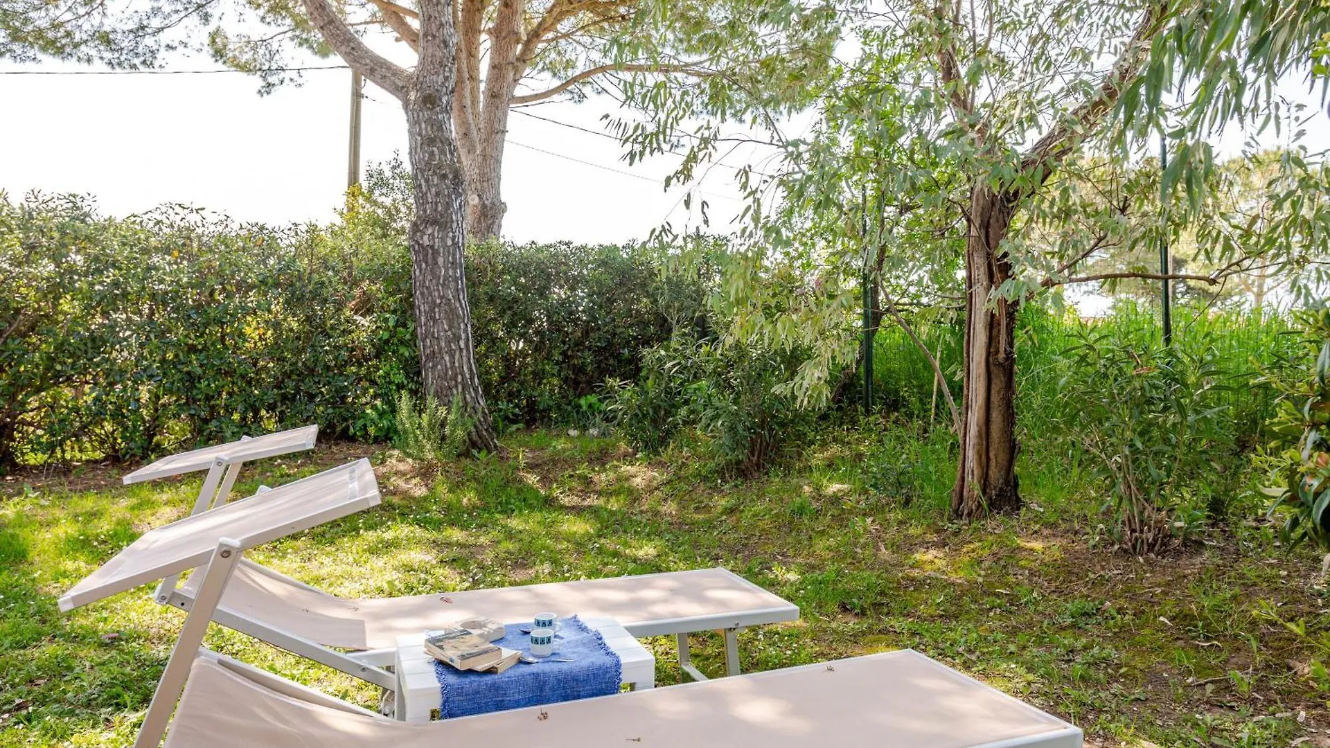 Farm stay Agriturismo Antico Podere Il Polveraio Montescudaio Italy