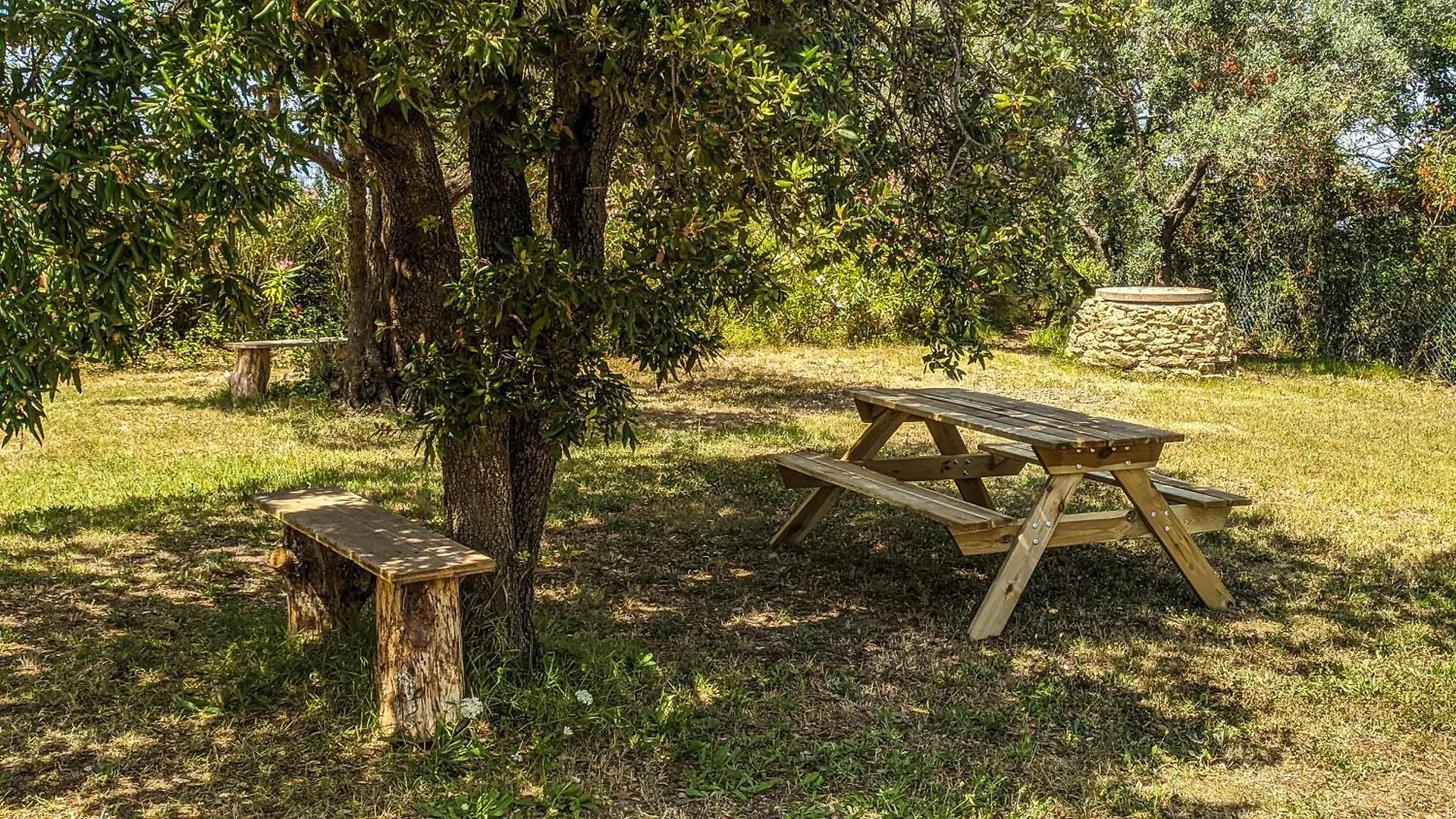 Agriturismo Antico Podere Il Polveraio Montescudaio