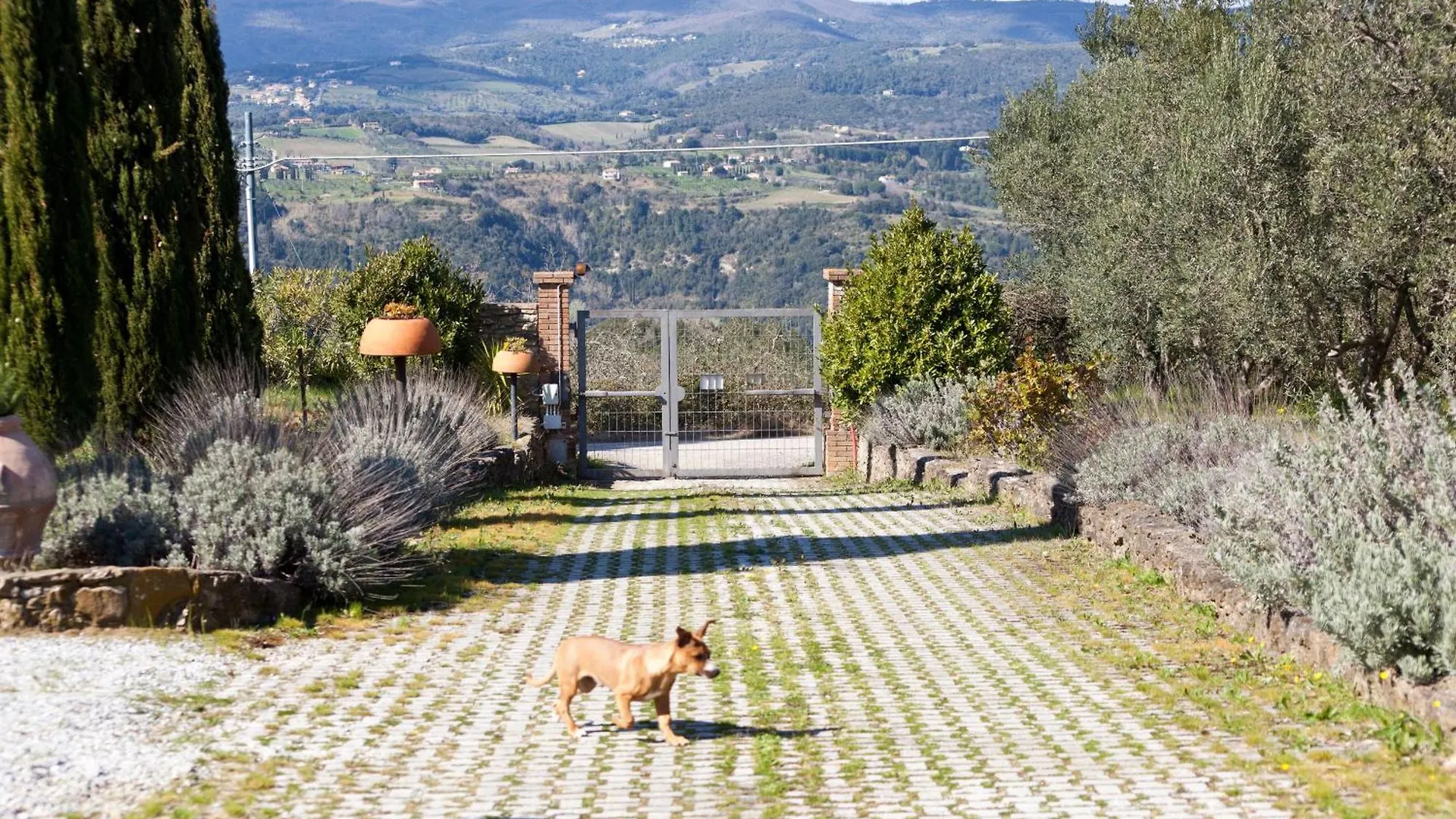 Farm stay Agriturismo Antico Podere Il Polveraio Montescudaio