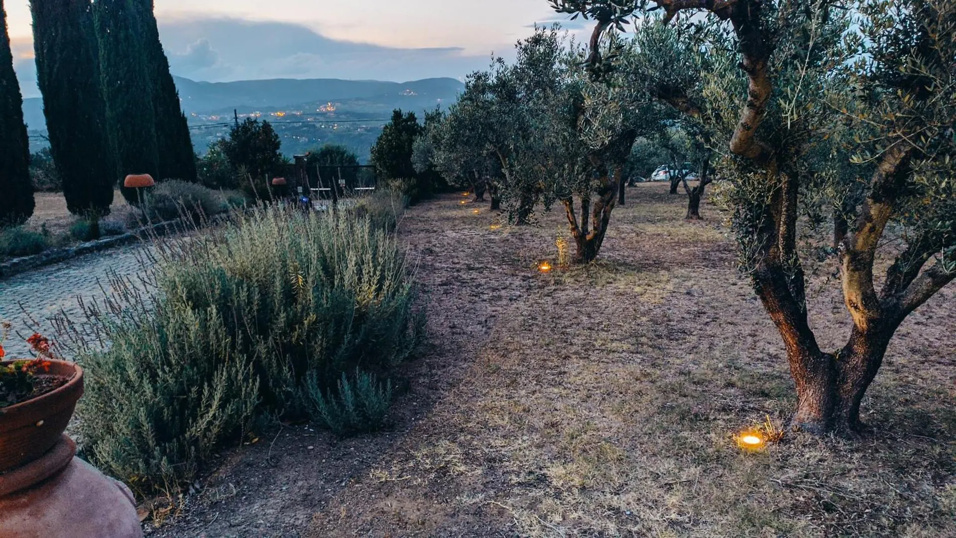 Farm stay Agriturismo Antico Podere Il Polveraio Montescudaio Italy