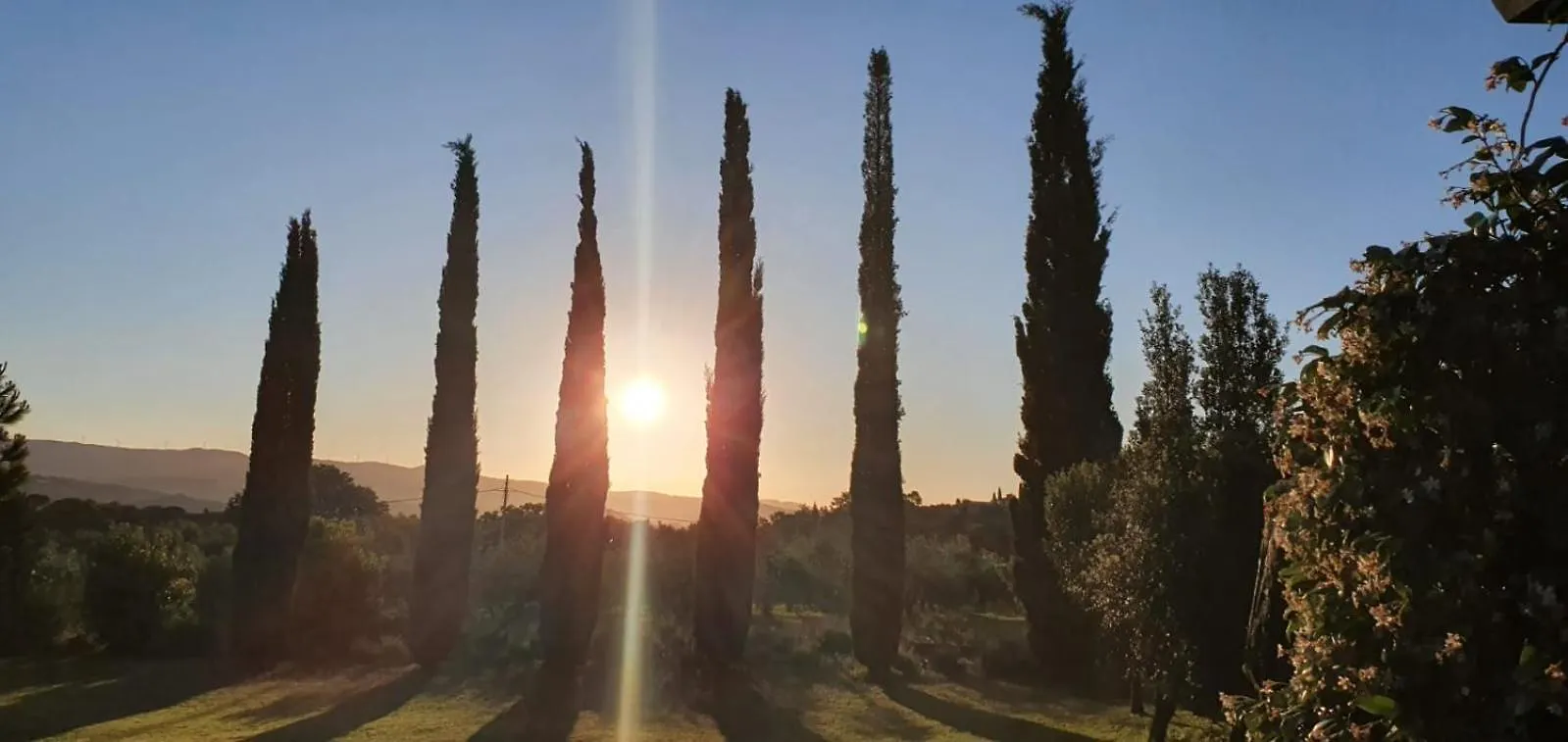 Agriturismo Antico Podere Il Polveraio Montescudaio
