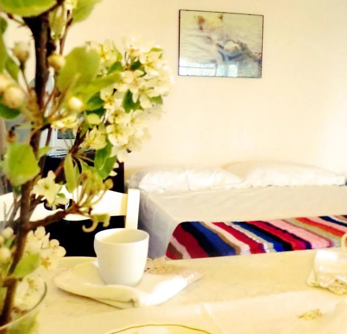 Agriturismo Antico Podere Il Polveraio Montescudaio