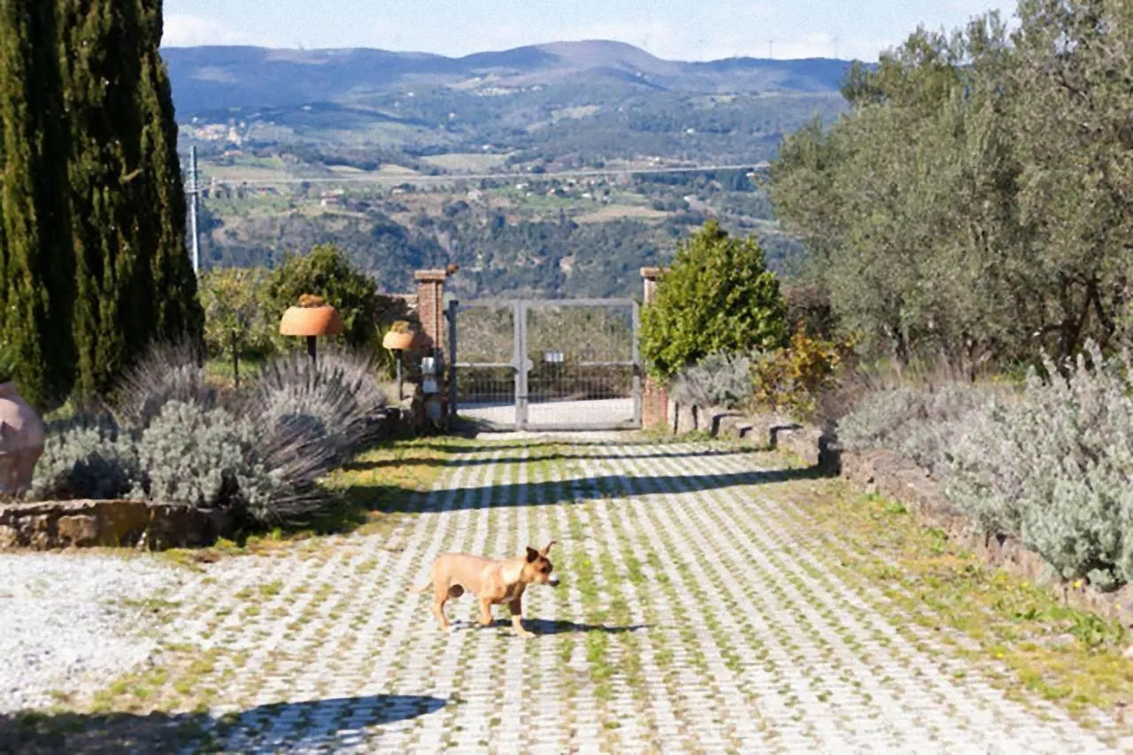 Agroturismo Agriturismo Antico Podere Il Polveraio Montescudaio