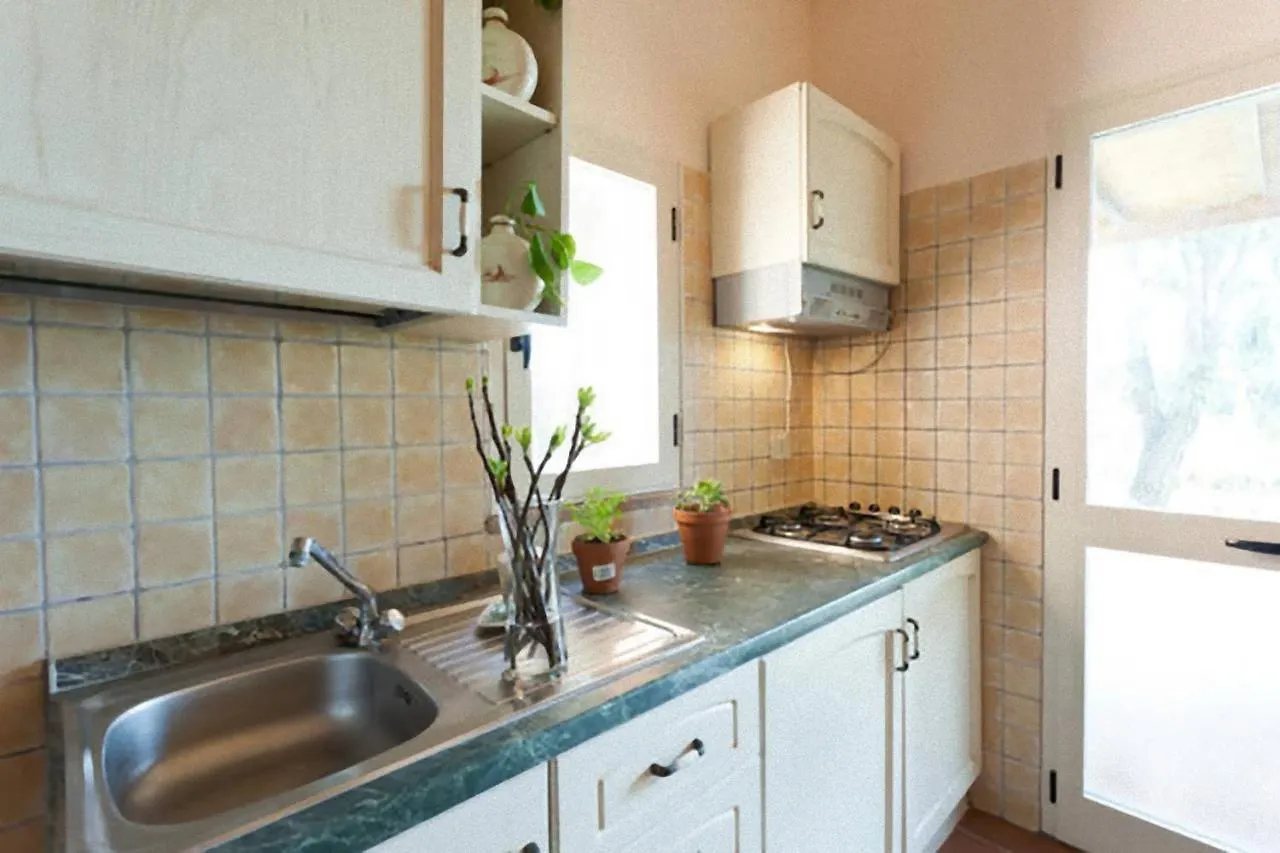 Agroturismo Agriturismo Antico Podere Il Polveraio Montescudaio