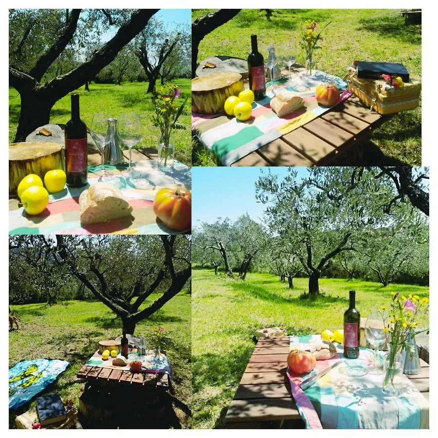 Agriturismo Antico Podere Il Polveraio Montescudaio Agroturismo