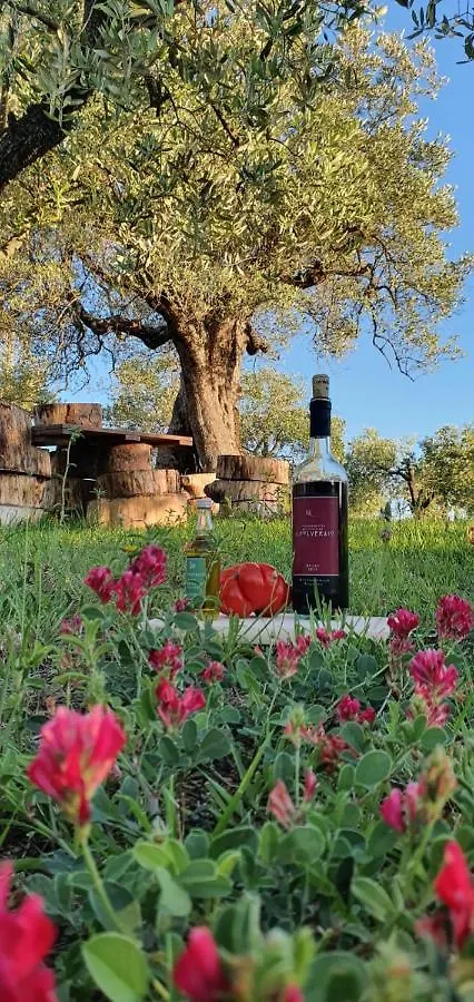 Agriturismo Antico Podere Il Polveraio Montescudaio