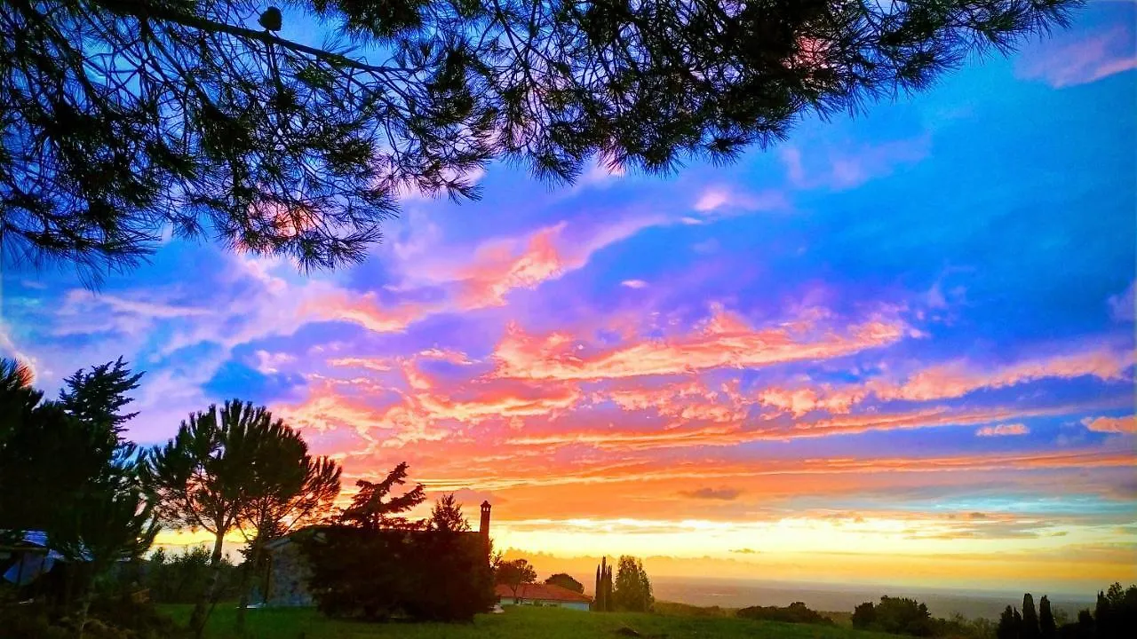 Agroturismo Agriturismo Antico Podere Il Polveraio Montescudaio Italia