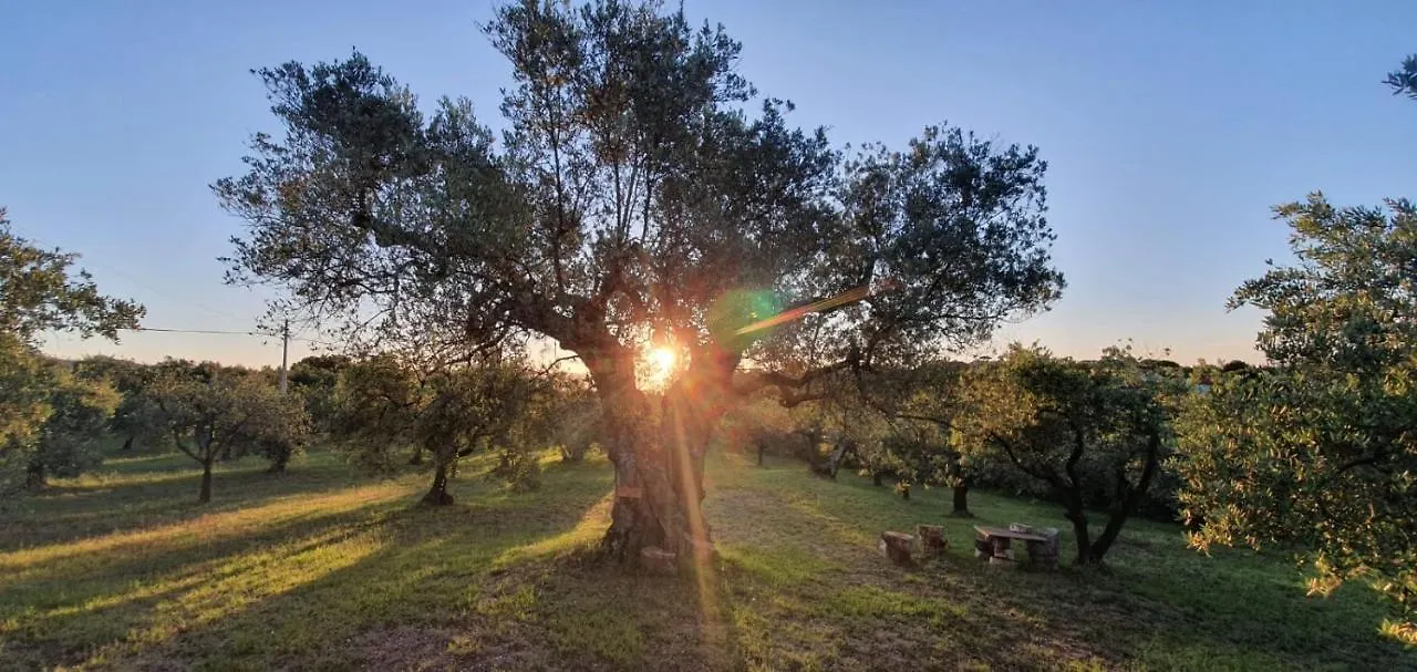 Agriturismo Antico Podere Il Polveraio Montescudaio