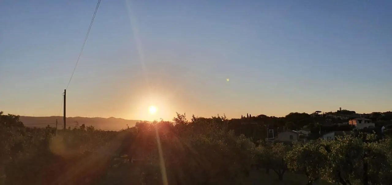 Agroturismo Agriturismo Antico Podere Il Polveraio Montescudaio